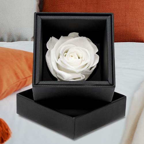 Preserved Redbox Rose In A Box