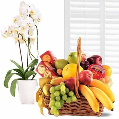 Orchids And Fruits