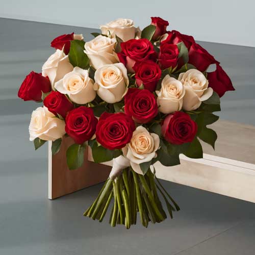 Red And White Rose