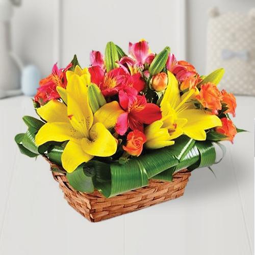 Charming Beauty With Various Colors