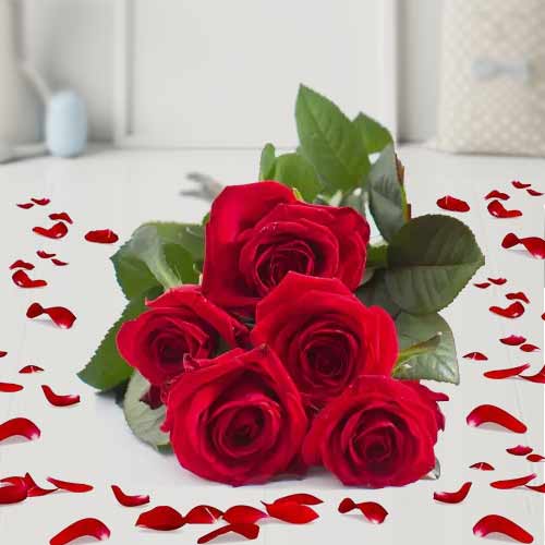 5 Red Rose Bouquet